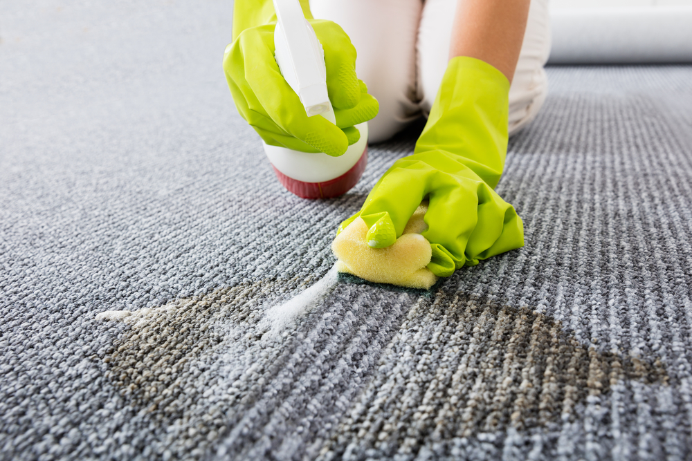 best upholstery cleaning products